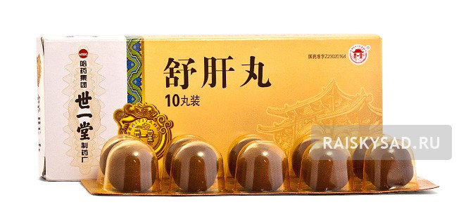 картинка Пилюли комфорта печени "Шу Гань Вань" (Shugan Wan/ Shu Gan Wan) от магазина Райский Сад